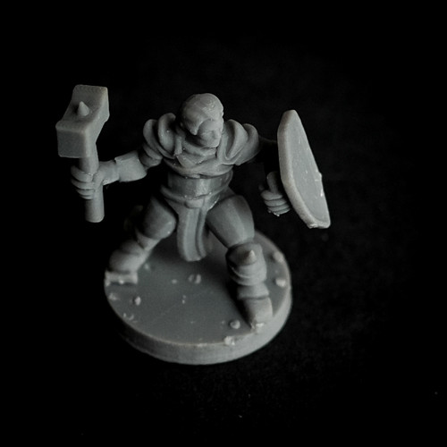 Halfling Cleric Paladin with Hammer and Shield